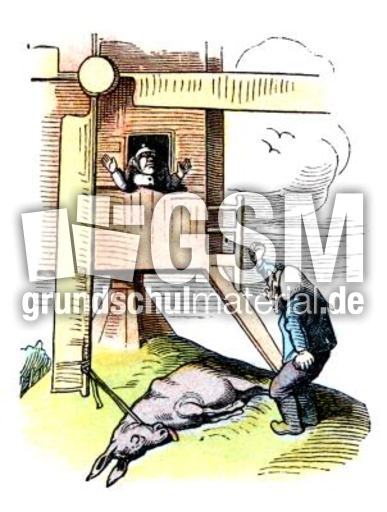 Bauer-Mueller 09.jpg